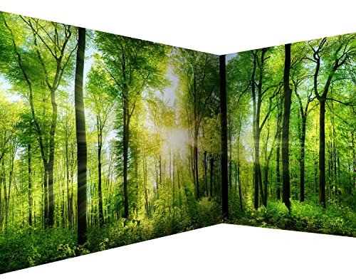 murando - Carta da parati d'Angolo Foresta 550x250 cm Fotomurali in TNT Murale alla moda Decorazione da Muro XXL Poster Gigante Design Carta per Pareti Paesaggio Natura verde Albero c-A-0058-a-b