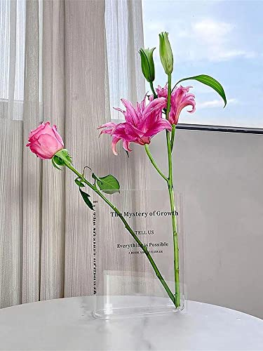 PW TOOLS Buchvase für Blumen | Klare Büchervase | Blumenvasen Acryl Blumenvase für Home Decor Hochzeiten | Desktop Vase Bücherregal | Arrangement Ware für Hotel Home Decoration