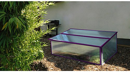 Vitavia Frühbeet Levana 1, mit Klappdach, violett