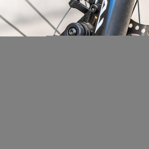 Serrure de Scooter électrique, Serrure de Frein à Disque de Moto, Antivol pour Scooter réinitialisable, Verrou de Frein à Disque Portable, verrou de antirouille pour Les Voyages en Plein air