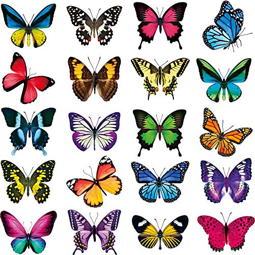 Frienda 40 Pcs Butterfly Window Clings Stickers Decals Bird Anti-Collision