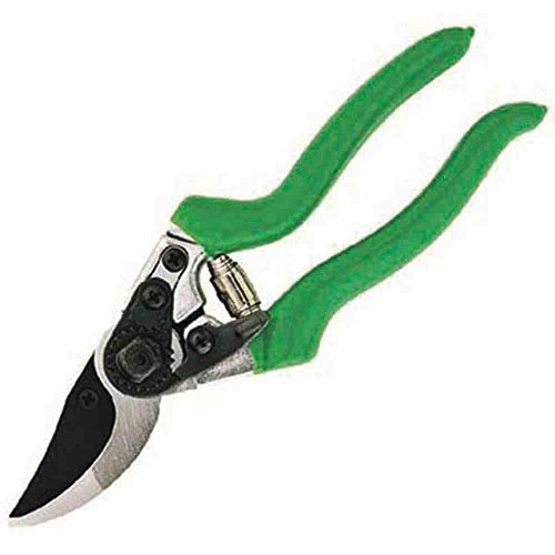 FREUND Gartenschere 2950, mehrfarbig