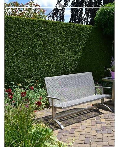 Lebensbaum Thuja Brabant 120-140 cm. Angebot: 40 Heckenpflanzen. Thujahecke