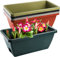 BSTMOME 5 Pack Flower Window Box, Plastic Vegetable Planters, Flower Box Planter Garden Pots for Windowsill, Patio, Garden, Home Décor, Porch (36x19x15cm)