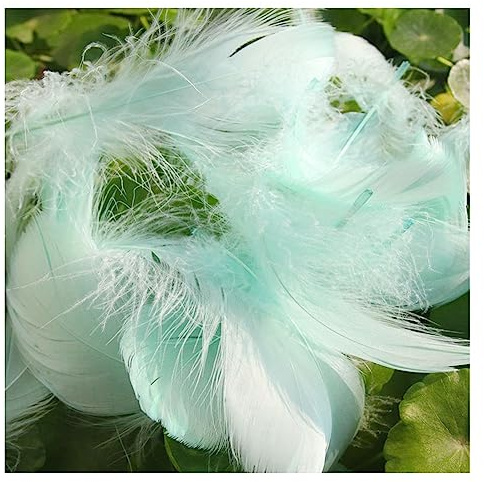 Yurosiay 100 Stück Bunt Federn Natürliche Federn Handwerk Gänsefeder Bunt Federn Deko Federn zum Basteln Flaumfedern Bastelfedern Deko für DIY Ohrring Kopfschmuck Traumfänger 6-12cm Bunt