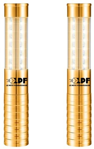 LPF LE PETIT FOURNISSEUR - Lot de 2 Bâtons LED Lumineux Bouteille Rechargeable – 3 Modes d’Éclairage (Strob, Intense, Ambiance) – Alternative Fontaine Scintillante – Aluminium Anti-Choc - Doré