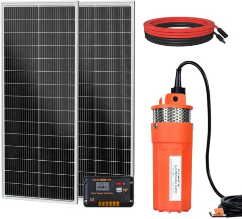 DCHOUSE Kit de Bomba Solar para Pozo para Riego y Bombeo de Agua | 96W Bomba para Fuente de 12V + 2 Paneles Solares de 100W + Controlador de 20A (No incluye el ramo Y)