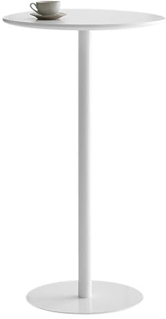 WQZzjm Tavolo da Bar Rotondo da Esterno con Piano e Base in Metallo per Ufficio, Sala da Pranzo e Cucina (Bianco 48x48x72 cm)