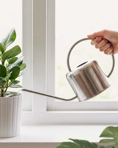 Bamworld Arrosoir pour Plantes d'intérieur, Petit arrosoir avec Long Bec, arrosoir en métal d'intérieur pour Un contrôle précis du débit, argenté