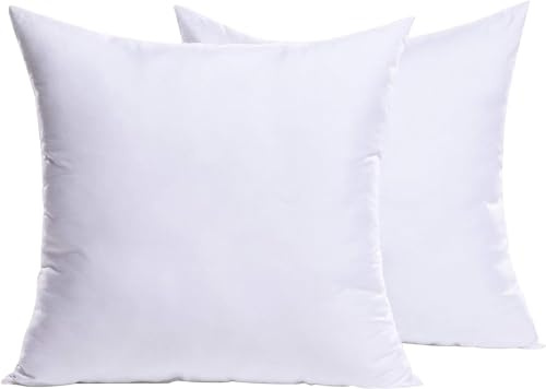MIULEE Kudde 60 x 60 cm fyllning om 2, tvättbar kuddfyllning soffkudde, stoppning innerkudde, dekorativa kuddar, polyester fyllningskudde, som soffkudde, dekorativa kuddar, örngott 30 x 50