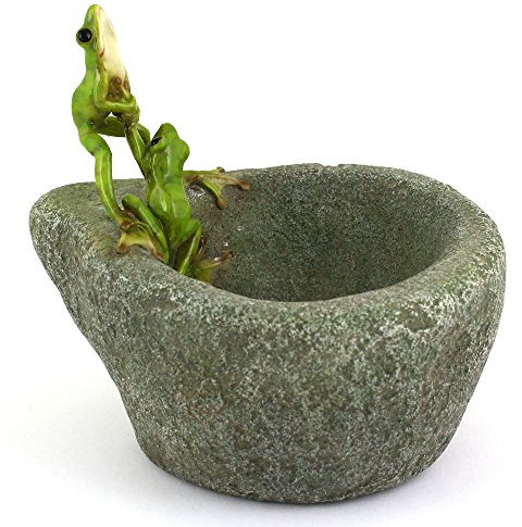 Top Collection Miniature Fairy Garden and Terrarium Frogs on Functional Stone Flower Pot for Succulents, 6-Inch