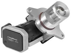 WAHLER Valvola EGR con guarnizione