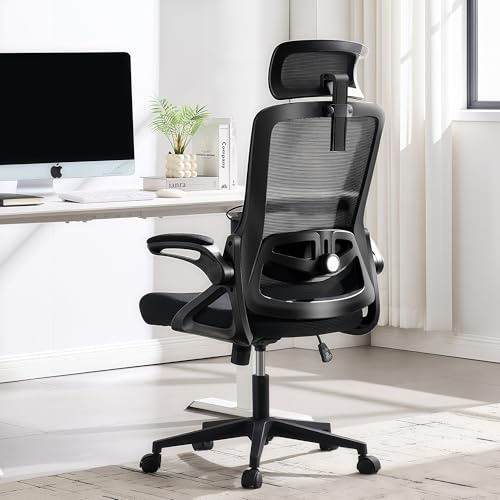 Fizzin Schwarz Ergonomischer Bürostuhl Gaming Stuhl 180kg | Atmungsaktiver Mesh Schreibtischstuhl mit Verstellbarer Lendenstütze & Kopfstütze für Büro & Home Office