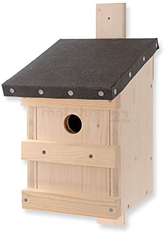 matches21 HOME & HOBBY Nistkasten Vogelhaus DIY Holz Bastelset für Kinder ab 11 Jahren Kreativ-Bausatz