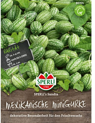Sperli Gemüsesamen Gurken Mexikanische Minigurke 'Sandia', grün