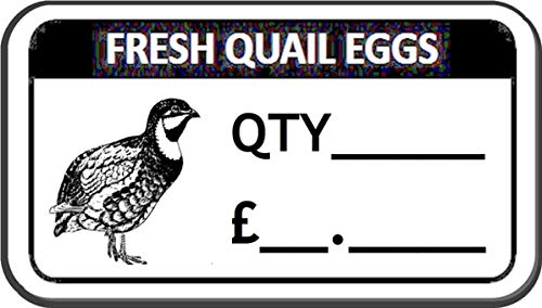 200 x Fresh Quail Egg Box Labels Quail Egg Stickers