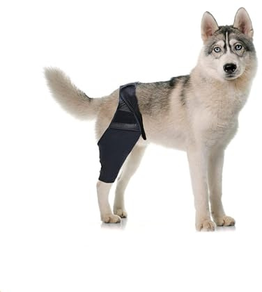 CiCixixi Hunde Kniebandage Hinterbein, Hunde Kniebandage, Hunde Hinterbein Bandage Hunde Klammer Hinterbein Hunde-Kniestütze für Hunde Klammer Hinterbein (L)