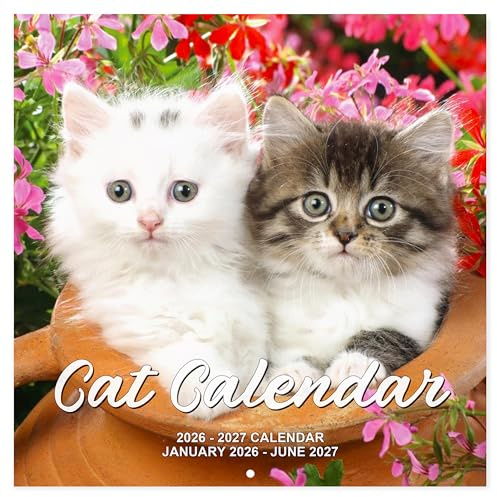 2026-2027 Calendar - 18 Monthly 2026-2027 Wall Calendar from Jul. 2026 - Dec. 2027, Cat Calendar with Unruled Blocks, 12 x 24(Open) Wall Calendar for Office School Home Planning