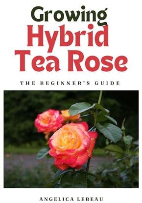 Growing Hybrid Tea Roses: The Beginner’s Guide (Blossom Basics: Your Ultimate Guide to Flower Gardening Book 2)