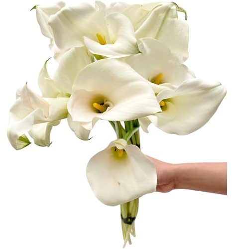 Next-day delivery 10 Calla Lilies Fresh Cut Flowers Bouquet Prime Delivery Gifts for Birthday Anniversary Friendship and Love Flower Arrangement (White)