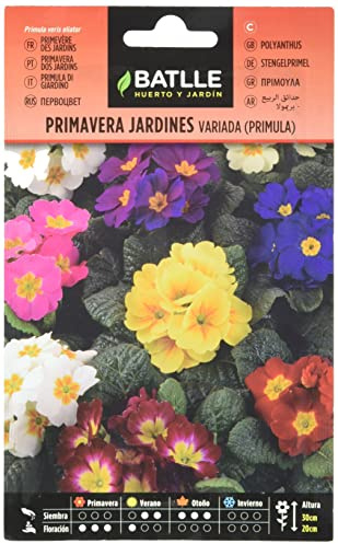 Semillas Batlle Primavera JARDINES - PRIMULA