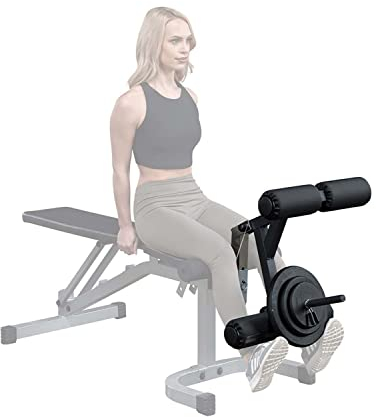 Body-Solid GLDA-1 Beinstrecker Beinbeuger Aufsatz | optionales Zubehör für Body-Solid Hantelbank GFID-31 und PFID-130X | Beintrainer | Leg Developer Attachment