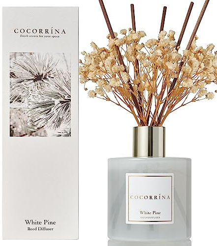 Cocorrína Reed Diffuser Set WHITE PINE - 200 ml vit furu doftspridare med pinnar hem doft eterisk olja diffusor för badrum hylla dekoration
