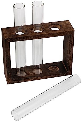 OFFSCH Hydroponische Vase Für Blumen Glasanzuchtröhrchen Satz Dekorative Wandmontage Pflanzenterrarium Transparentes Anzuchtglas