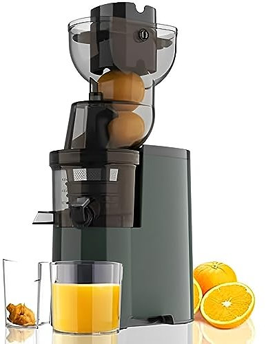 Cold Press Juicer, 250W Professional Slow Juicer W/Large 3.5 Feed Chute for Fruits Vegetables