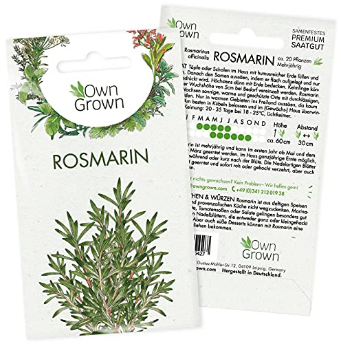 Rosmarin Samen: Premium Rosmarin Saatgut für die Anzucht für ca. 20x Pflanze mehrjährig – Pflanzensamen Balkon und Garten – Küchenkräuter Samen – Kräuter Samen von OwnGrown
