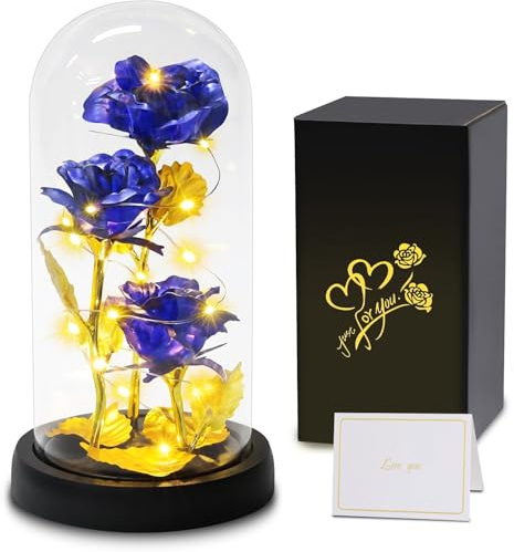 Touloube Geschenke für Frauen, Geschenk für Sie Freundin Mutter Ehefrau Oma, Galaxy Rose Blume Geschenk, Ewige Rose im Glas mit Licht, Einzigartiges Geschenk für Hochzeit,Jahrestag