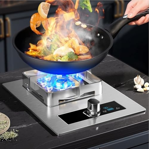 THEGA Acciaio Inossidabile Stufa A Gas - Bruciatore Portatile della Stufa, Cucine a Gas da Tavolo e a Filo, fornello a Gas con temporizzazione di 90 Minuti, fornello a Gas per Uso Domestico(LPG)