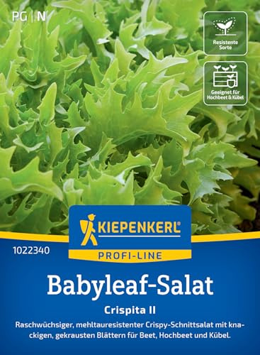 Kiepenkerl Babyleaf-Salatsamen Crispita II 1022340, Gemüsesaat | Saatgut für einen raschwüchsigen Schnittsalat mit knackigen, gekrausten Blättern, Höhe 8-10 cm