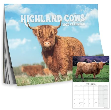 Calendar 2026 Highland Cows - Cute Scottish Cow Photography Wall Planner, A3 When Open - Month to View with Large Day Boxes & Premium 170gsm Silk Paper