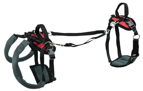 PetSafe CareLift Stützgeschirr – Ganzkörper-Hebehilfe mit Griff – ideal für die Mobilität von Haustieren und ältere Hunde – bequemes, atmungsaktives Material – einfach zu verstellen, Größe S