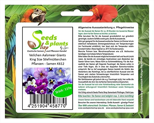 Stk - 110x Veilchen Aalsmeer Giants King Size Stiefmütterchen Pflanzen - Samen K612 - Seeds & Plants Shop by Ipsa