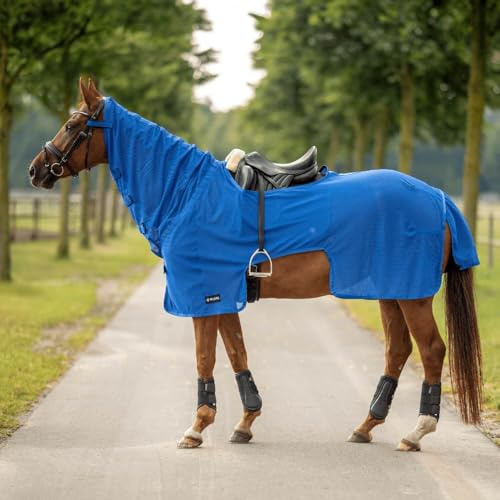 Ausreitdecke Moskito III, 155, royal Summer