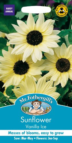 Mr. Fothergill's Vanilla Ice Sunflower Seed, pale yellow
