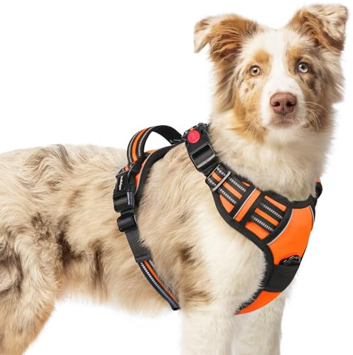 rabbitgoo Harnais Chien avec 3 Boucles, Facile à Mettre et à Enlever, Harnais Anti Traction pour Chien avec Poignée et Attache Devant, Réglable, Réfléchissant, Arnet pour Chiens Moyen, Orange, M