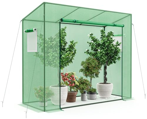 RELAX4LIFE Gewächshaus, Winter Foliengewächshaus mit Reißverschlusstür & 2 Aufrollbaren Fenstern, Überwinterungszelt mit Metallrahmen & Bodennägel, Pflanzenhaus für Blumen Gemüse Obst, 200x77x169cm