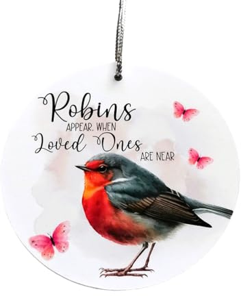 Robins Appear When Loved Ones Are Near - Sympathy/Bereavement Gift - Hanging Decoration Ornament Keepsake - With Organza Gift Pouch
