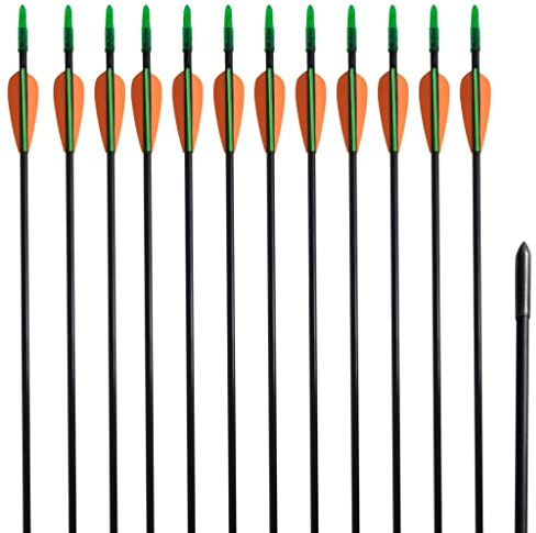 Generico Frecce Standard per Archi Ricurvi 12 pz 76,2/0,6 cm Fibra Vetro,Articoli Sportivi,Ricreazione all'aperto,Caccia e tiro a Segno,Tiro con L'Arco,Frecce e dardi-90856