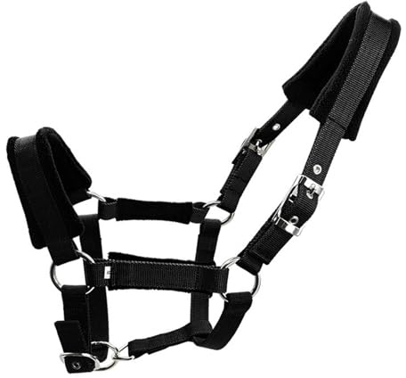 LLHCF Gancho de metal duradero para caballos para ciclismo y entrenamiento seguros con herraje de brida estable a prueba de óxido, resistente a la corrosión