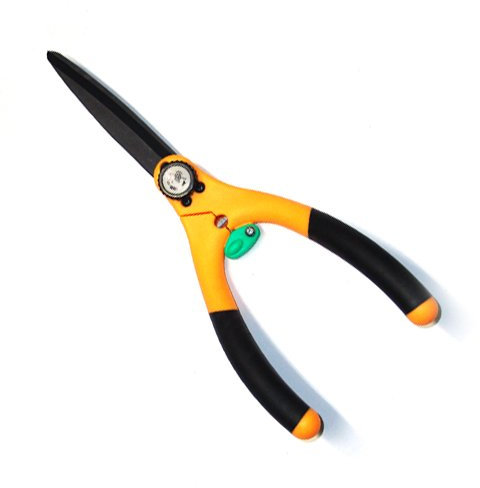 Cactus ciseaux ? gazon 1580 (japon importation)