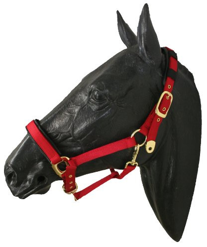 ARBO-INOX Halfter Nylonhalfter Stallhalfter Pony rot