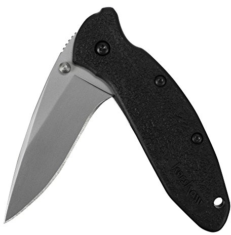 Kershaw Scallion Pocket Knife, Black and Gray, 2.4 Inch Drop Point Blade