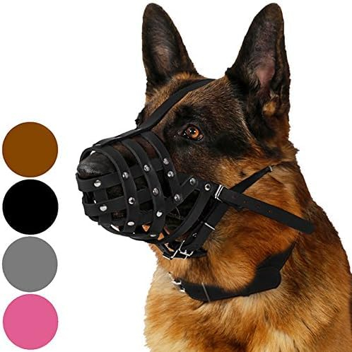 CollarDirect Maulkorb für Hunde, Deutscher Schäferhund, Dalmatiner, Dobermann, Setter, Lederkorb, mittelgroß, große Rassen, Schwarz, Braun (L, Schwarz)