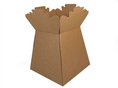 30 Transporter Box/Flower Paper Box vase Natural (3771)
