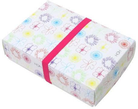 HOH foldable reusable bento box flower small(Japan Import)