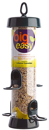 Vogelfutterspender zum Aufhängen für kleine Vögel – Jacobi Jayne® Bigeasy™ Futterspender für Wildvögel und Gartenvögel – Eichhörnchenresistente Vogelfutterstation mit integriertem Aufhängering